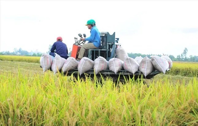 Việt Nam thu về 33,8 tỷ USD từ xuất khẩu nông sản, giao thương với Mỹ tăng mạnh