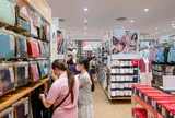 UNIQLO đưa dấu ấn xứ Thanh vào bộ sưu tập UTme!