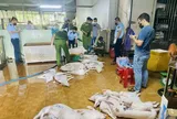 Siết kiểm soát từ lò mổ đến chợ truyền thống trước Tết Bính Ngọ 2026