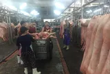 Giá heo hơi hôm nay, 23-2: Lượng heo về chợ giảm mạnh