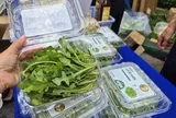 Bất ngờ về loại rau 350.000 đồng/kg vẫn được người ở TPHCM xem là “rẻ”
