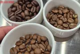 Giá cà phê hôm nay 22-4: Mới tăng đã giảm, nông dân cân nhắc điều này