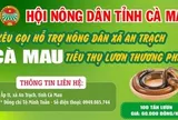 Cà Mau kêu gọi "giải cứu" lươn với giá 60.000 đồng/kg