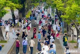 Rộn ràng du khách ở các điểm di tích, Huế lập kỷ lục “xưa nay chưa từng có”