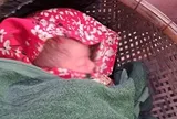 Bé sơ sinh còn nguyên dây rốn bị bỏ rơi lúc rạng sáng ở TPHCM