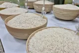 Bỏ giấy phép xuất khẩu gạo: Gỡ rào cản hay tạo cạnh tranh lệch chuẩn?