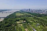 Biến bãi bồi thành công viên, khu sinh thái