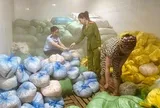 Thanh Hóa phát hiện 14 tấn bì heo không rõ nguồn gốc xuất xứ