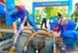 Ngoài xăng E10, người dân có thể lựa chọn loại nhiên liệu nào khác?