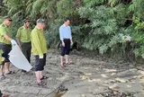 Con vật quý nặng 5 kg "đi lạc" vào khu dân cư, nhiều người lần đầu nhìn thấy