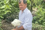 Chủ tịch UBND tỉnh Vĩnh Long chỉ đạo "khẩn" liên quan đến vườn chim của ông Hai Chìa