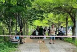 Người đàn ông tử vong dưới hồ nước ở Khu đô thị Đại học Quốc gia TPHCM