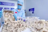 Cục Xuất nhập khẩu lưu ý thay đổi quan trọng với hàng thực phẩm vào Trung Quốc từ 1-6