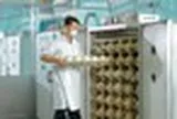 Trung tâm làm ra quả trứng nặng 1,5kg giá nửa triệu của một đại gia Việt: Chi phối 60% thị phần, công nhân phải canh hứng từng quả trứng