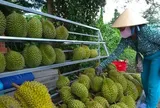 Muốn đi xa phải đi bài bản