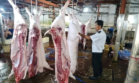 Lộ sai phạm kiểm soát tại lò mổ heo cho Công ty C.P Việt Nam