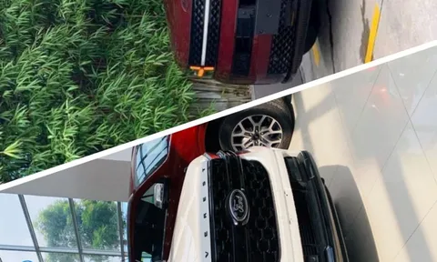 Xe gầm cao cỡ D đua giảm giá
