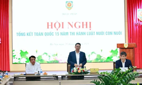 Hơn 4.700 trẻ em Việt Nam được giải quyết làm con nuôi ở nước ngoài