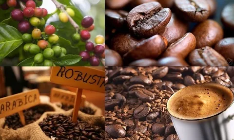 THỊ TRƯỜNG HÀNG HÓA: Dòng tiền quay lại, MXV-Index tăng hơn 1%