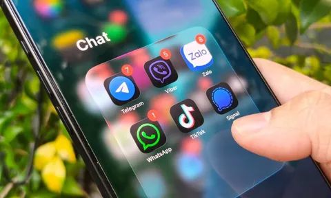 Soi điều khoản Zalo: Thu thập dữ liệu khác gì WhatsApp, Messenger, Viber?