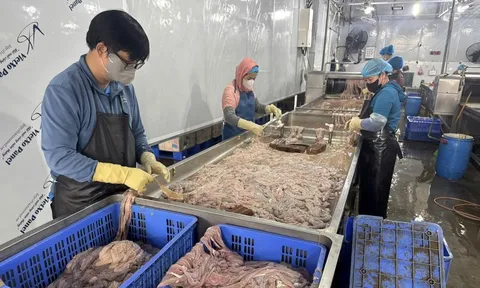 Hơn 60 tấn lòng heo hôi thối, chuyển màu nằm trong kho lạnh