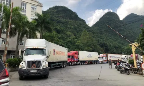 Cục Hải quan hoả tốc yêu cầu "thông quan nhanh" thực phẩm dịp sát Tết Nguyên đán