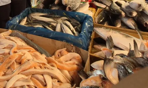 12 hiệp hội ngành hàng thực phẩm đồng gửi kiến nghị khi bị ách tắc nhập khẩu