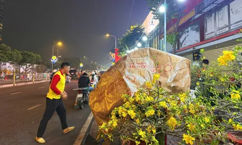 Chuyện thuê mai ngày Tết và những vui buồn ít ai thấu hiểu