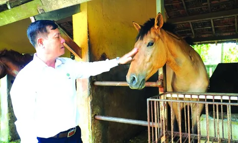 130 năm nuôi ngựa cứu người