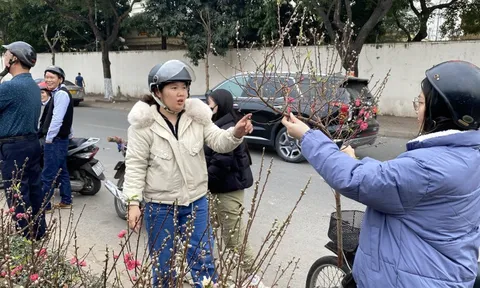 Không khí lạnh tràn về mùng 2 Tết, trời chuyển rét