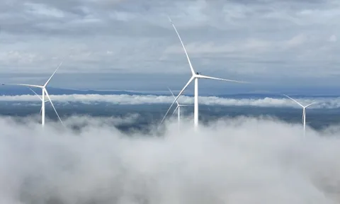 T&T Group cam kết hành động thực chất về chuyển đổi số, chuyển đổi xanh