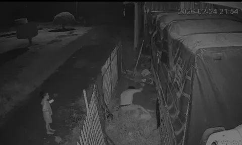 Đồng Tháp: Chồng đâm vợ bất chấp con nhỏ cầu xin "cha đừng xử lý mẹ"