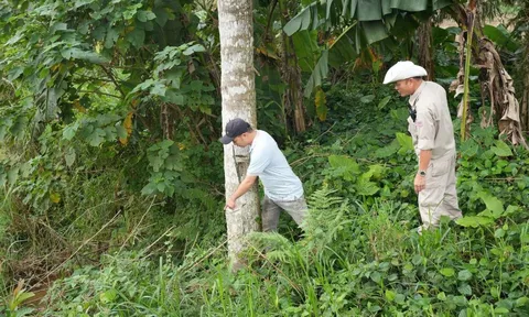 Người dân liên tiếp báo tin về mối nguy hiểm vừa "lộ diện" sau hàng chục năm