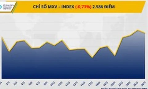 THỊ TRƯỜNG HÀNG HÓA: MXV-Index đứt mạch tăng 4 phiên, rơi khỏi vùng 2.600 điểm