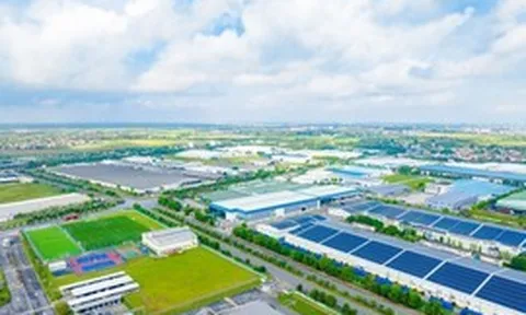 IMC đồng hành cùng doanh nghiệp nâng cao năng lực quản trị và tuân thủ thuế