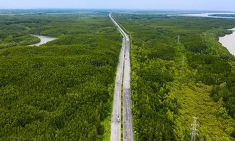 UBND TPHCM ban hành kế hoạch giải phóng mặt bằng tuyến đường sắt Bến Thành - Cần Giờ