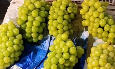 Việt Nam chi hàng trăm triệu USD nhập khẩu nho tươi Trung Quốc