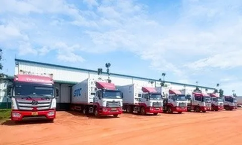 THILOGI tối ưu giải pháp chuỗi lạnh cho trái cây tươi xuất khẩu