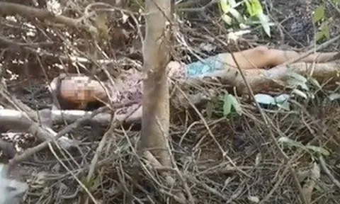 Giải cứu người phụ nữ mất tích 10 ngày trong rừng sâu ở Gia Lai