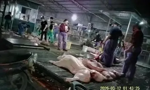 Bịt lỗ hổng quản lý thực phẩm