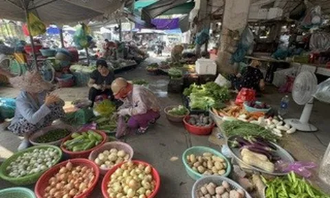 Cùng một loại rau, giá chợ lẻ cao gấp 2-3 lần chợ đầu mối