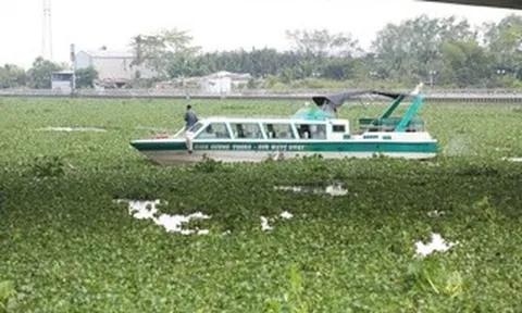 Một người nhảy cầu ở Tây Ninh, để lại xe máy và 2 điện thoại