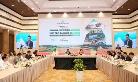 "Bắt tay" phát triển chuỗi giá trị bền vững