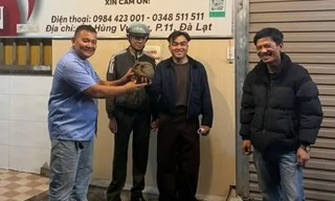 Chủ quán ăn ở Đà Lạt bất ngờ phát hiện 1 con vật quý hiếm bò vào quán