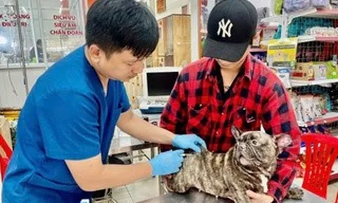 Cảnh báo bệnh dại và thói quen chết người