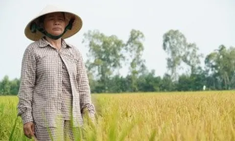 Nhức nhói nạn phá hoại nông, thủy sản của người dân