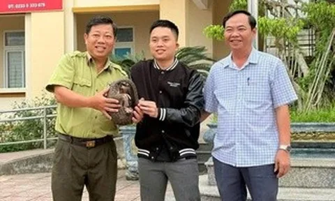 Phát hiện con vật quý hiếm cuộn mình bên vệ đường lúc sáng sớm