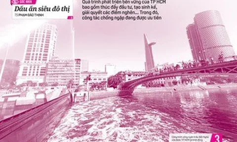 Báo in ngày 26-4: Phía sau xe gian là nước mắt người nghèo