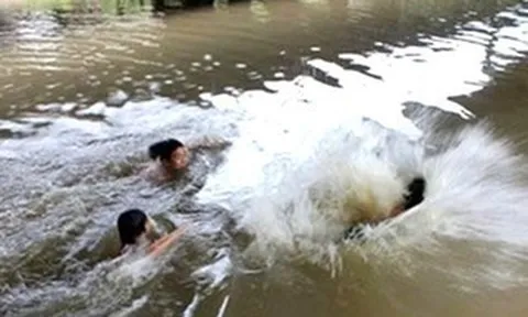 Ra suối tắm, hai cháu bé bị đuối nước thương tâm