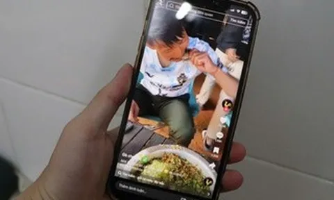 Câu view: Đừng đùa với pháp luật!
